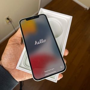 Apple iPhone 12 (Mint Green)